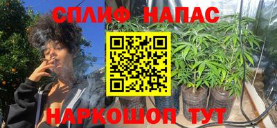 соль ск Кингисепп