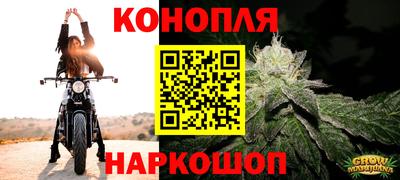 соль ск Кингисепп