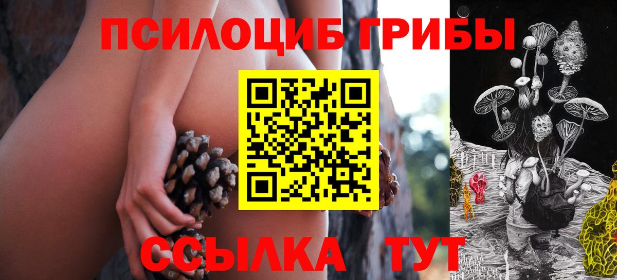 Галлюциногенные грибы Psilocybe Красный Сулин